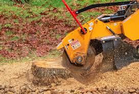 Reliable Ransomville, NY Tree Removal Services Solutions